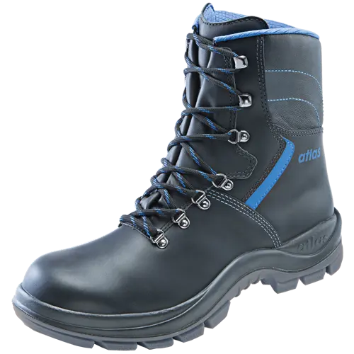 6300    S3